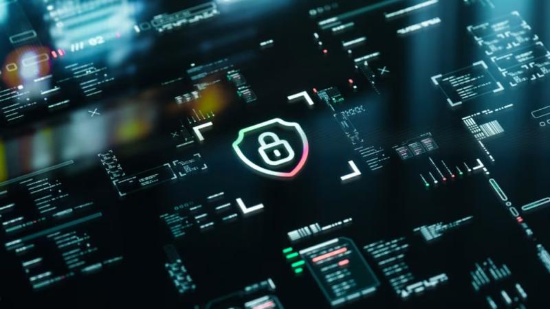 阳谷县软件开发公司